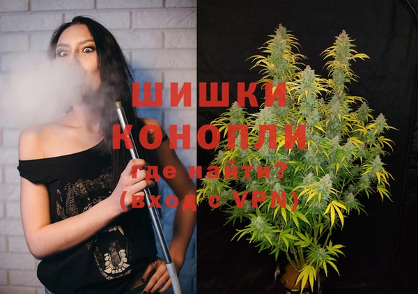 бутират Белокуриха