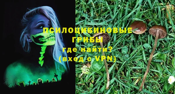 бутират Белокуриха