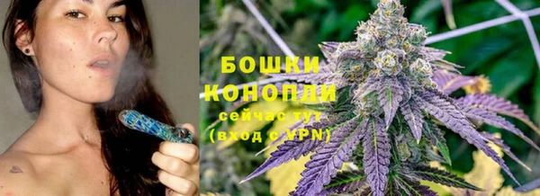 бутират Белокуриха