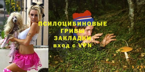гашик Беломорск