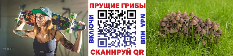 это какой сайт Гулькевичи Псилоцибиновые грибы мицелий